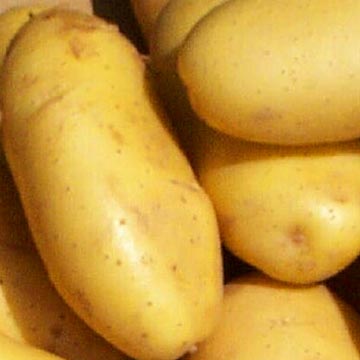 Potato For Skin Care